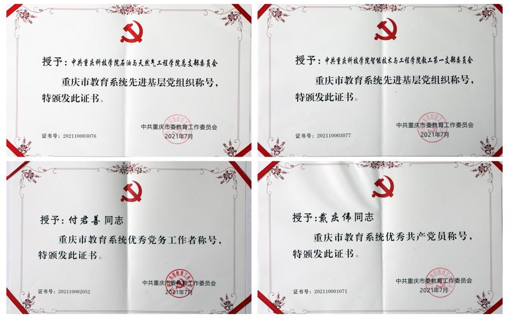 优秀党务工作者和先进基层党组织的决定
