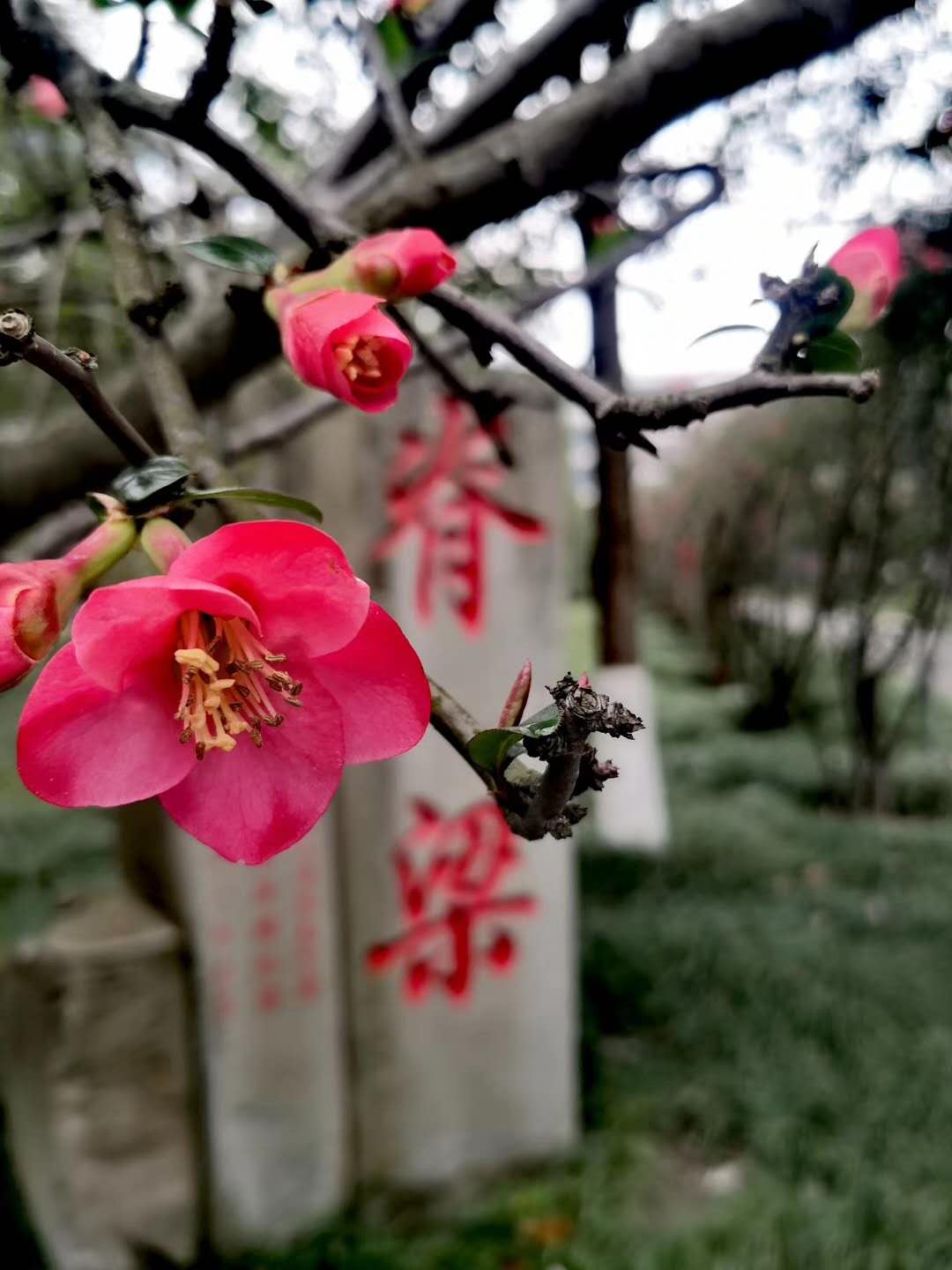 戴好口罩